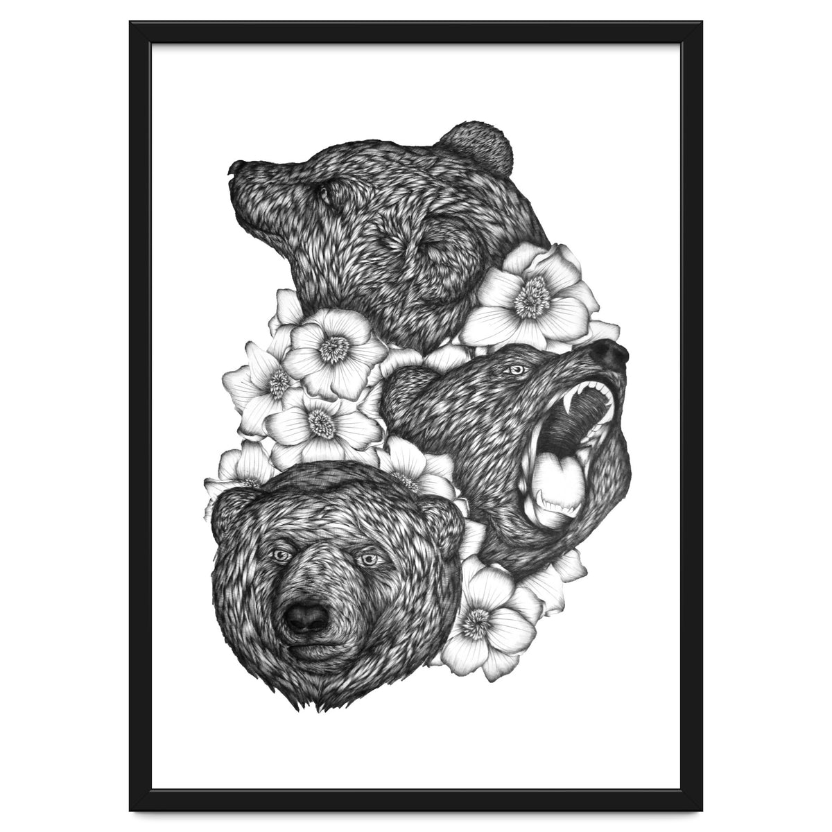 Bears In Bears