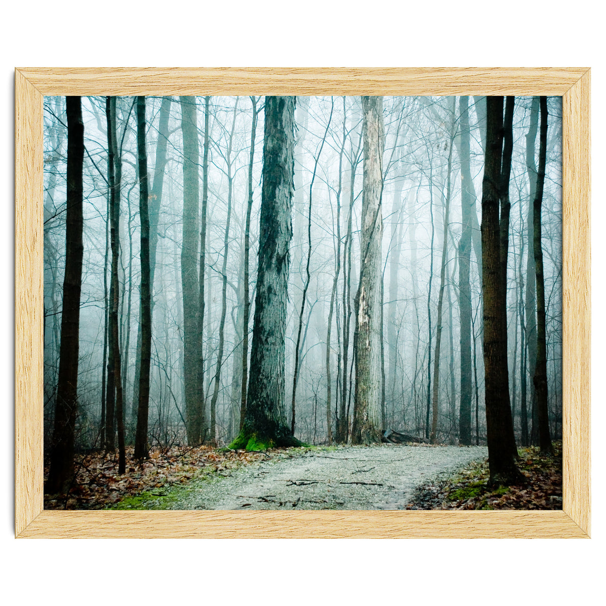 Gather Up Your Dreams