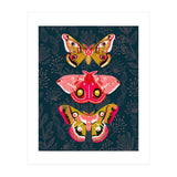 Lepidoptery Study No. 4 (Print Only) thumbnail