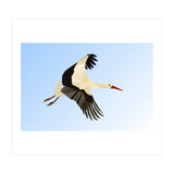White Stork Bird Low Poly Art (Print Only) thumbnail