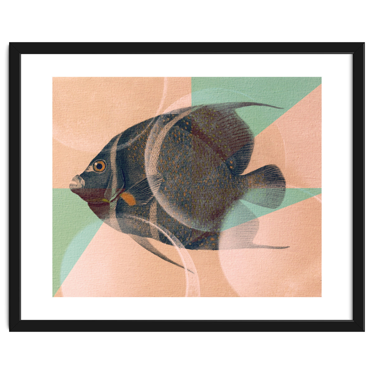 Fish Between Circles 2