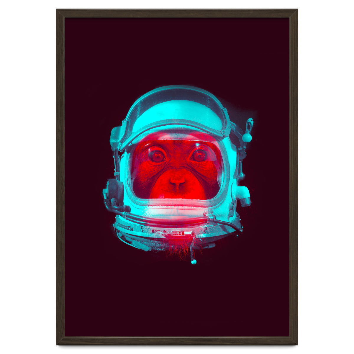 Astronaut