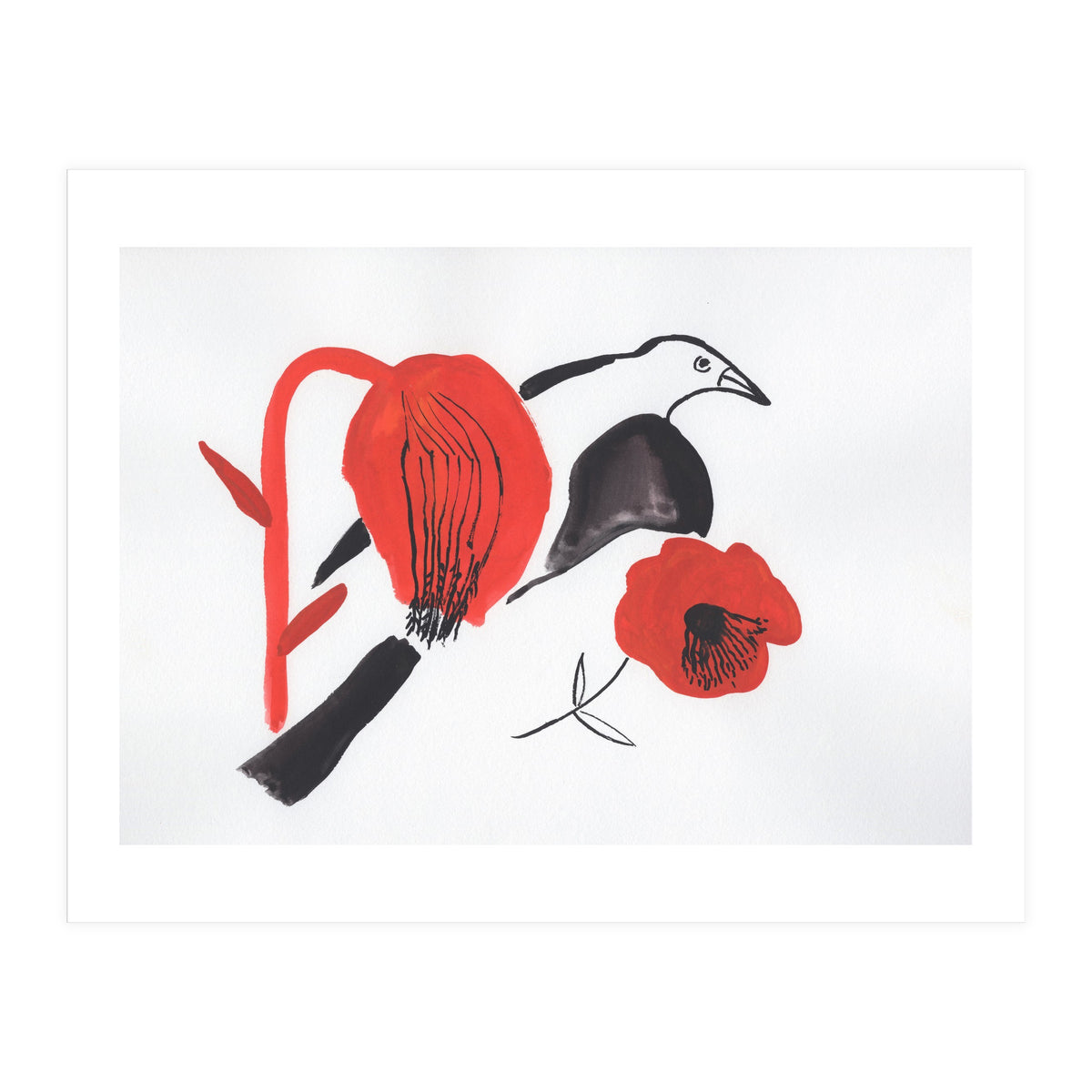 Black Bird And Poppies (Print Only)
