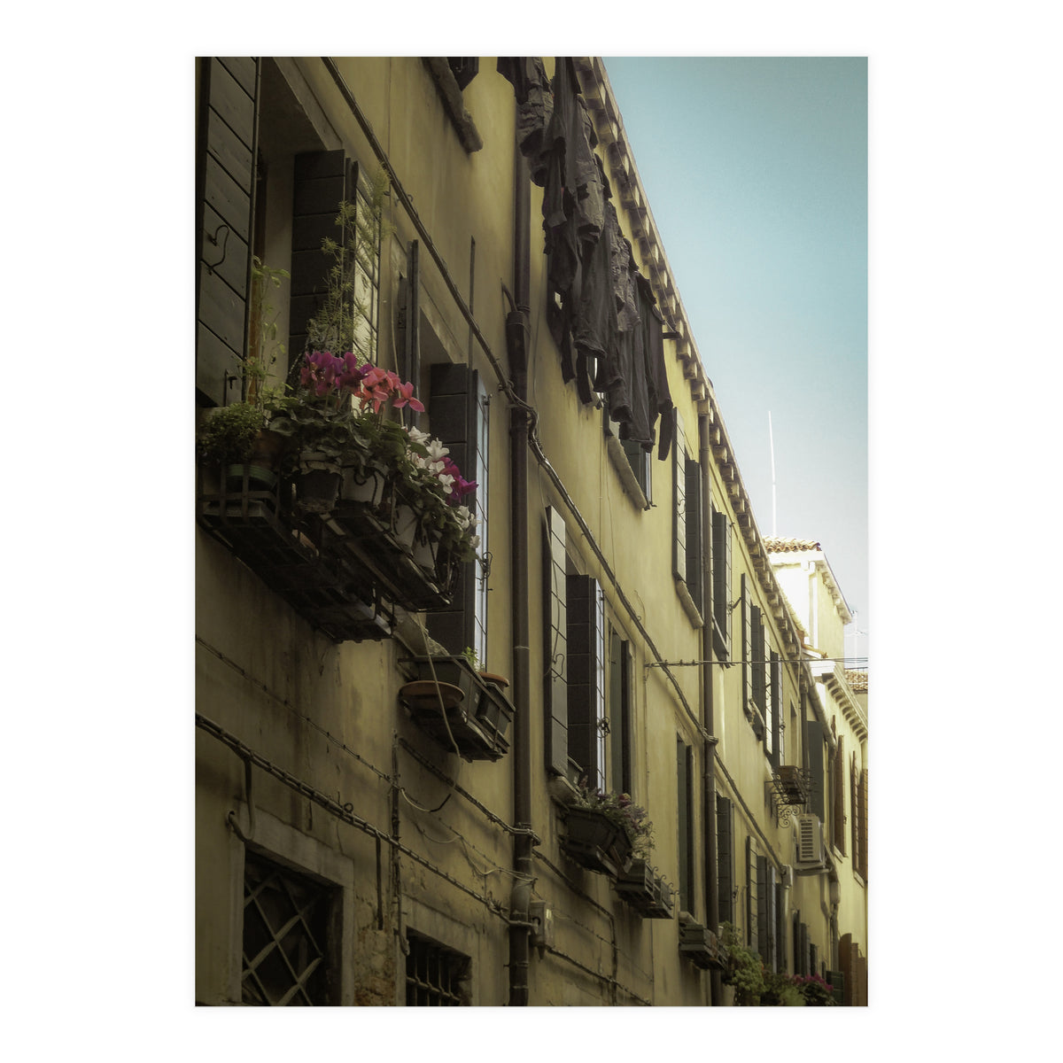 Windows From Tuscany 1 (Print Only)