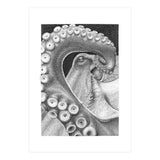 Octopus no. 1 (Print Only) thumbnail