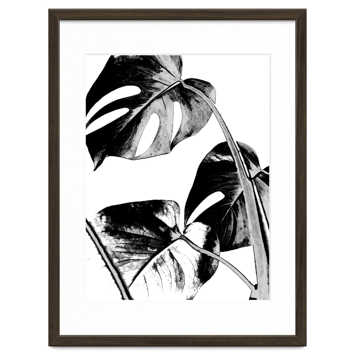 Black Tropical Leaves