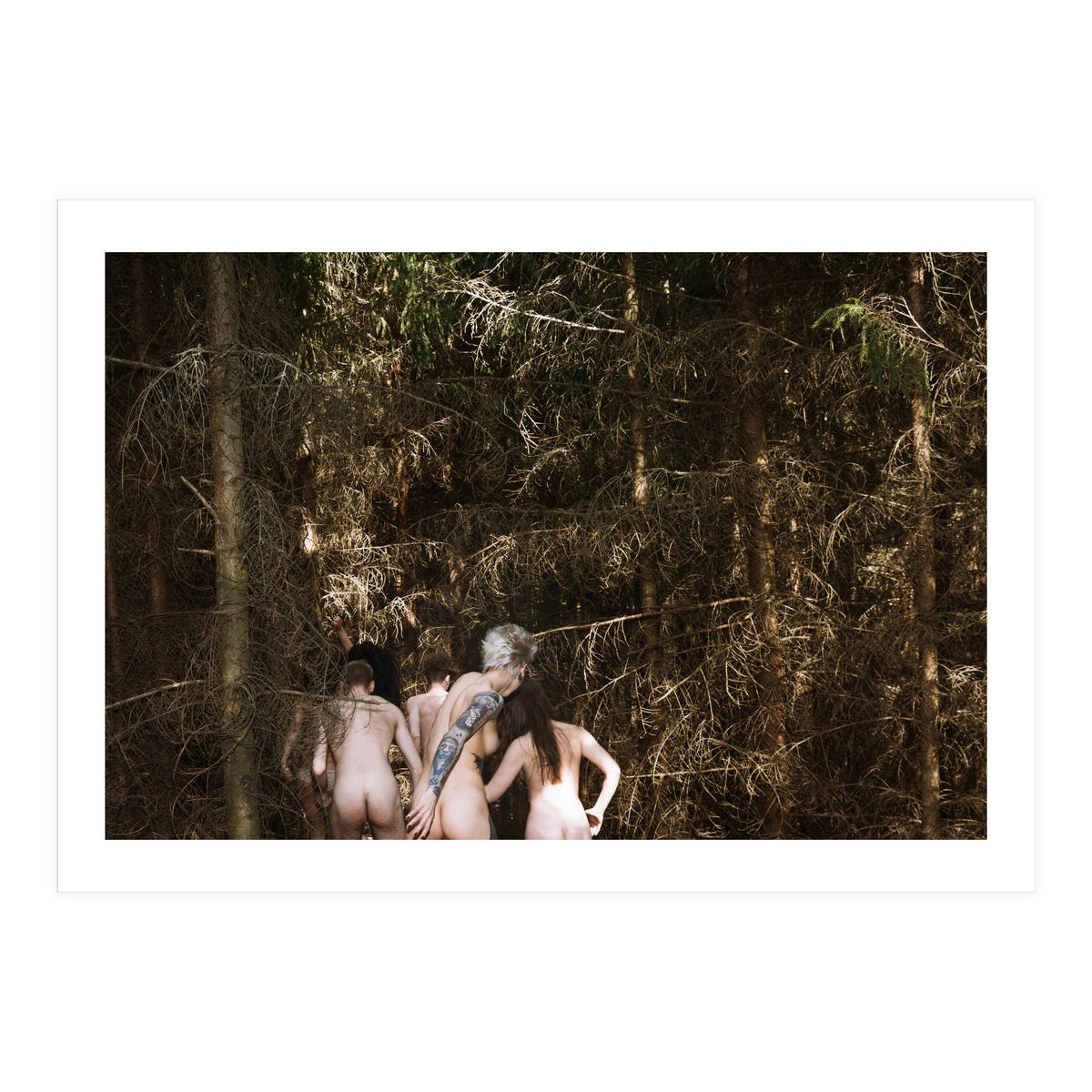 Born Free (Print Only)