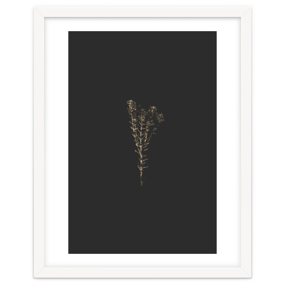 Moody Golden Botanicals