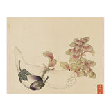 Wang Chengyu ~flowers, Vegetables, Fruits, Eggplant, Lotus Root (Print Only) thumbnail