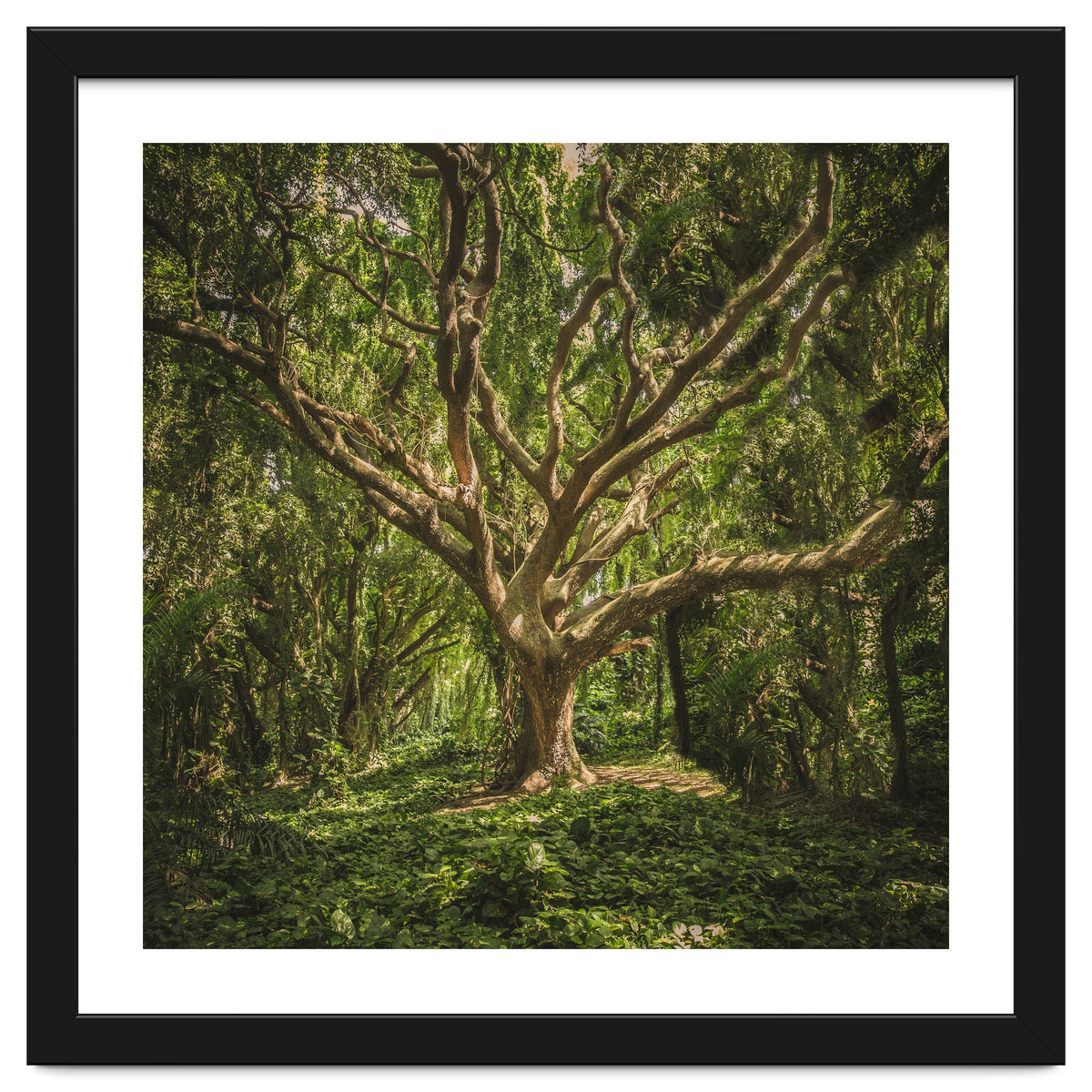 Spirits inside the wood