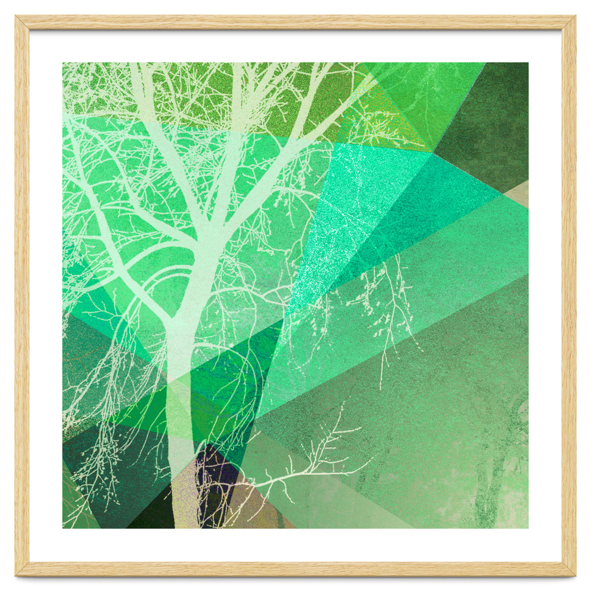 P22-B3 Trees And Triangles