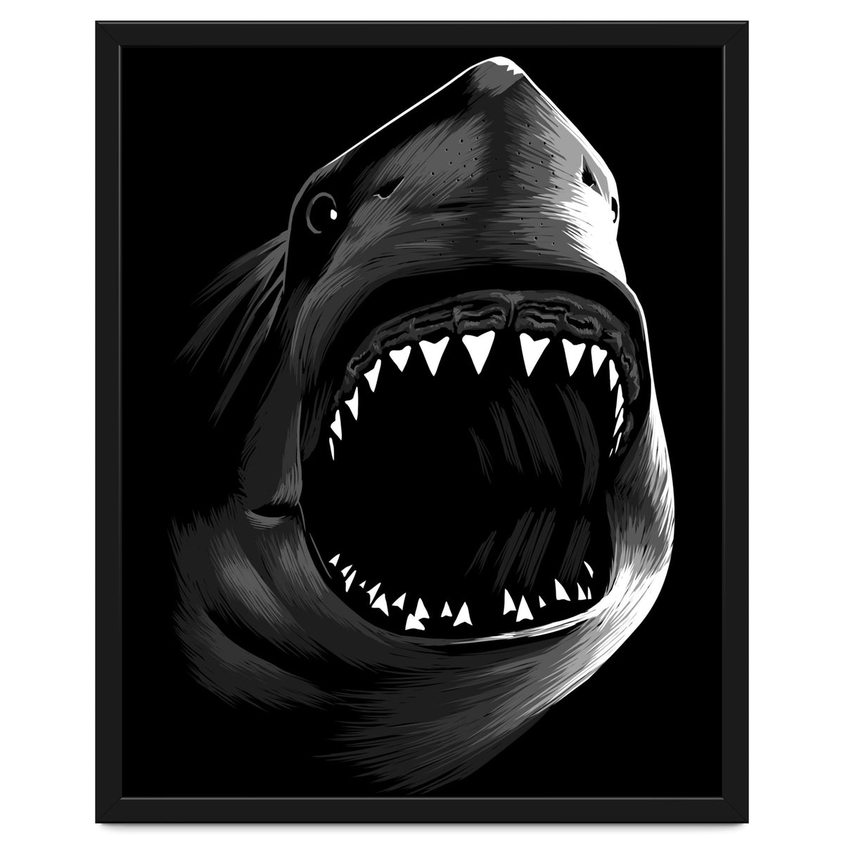 Megalodon