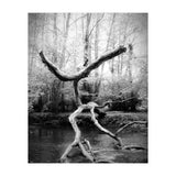 the negotiator (Print Only) thumbnail