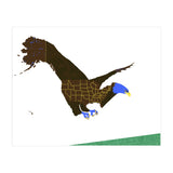 American Bald Eagle (Print Only) thumbnail