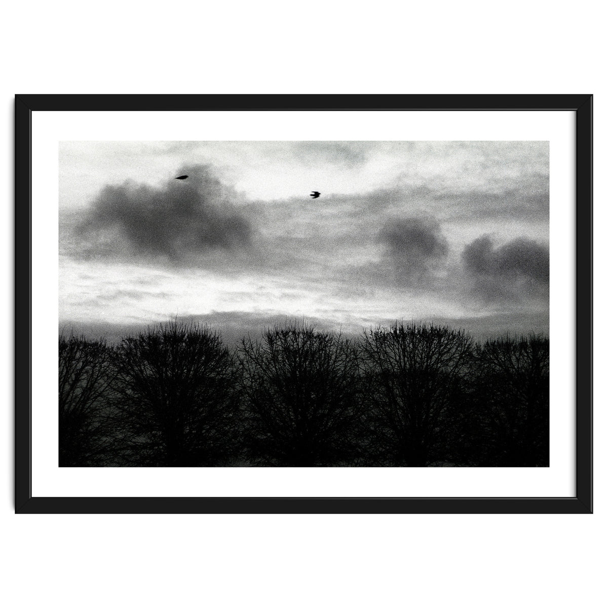 Winter mornig in Paris