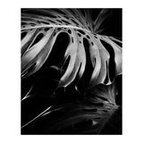 monstera nature (Print Only) thumbnail
