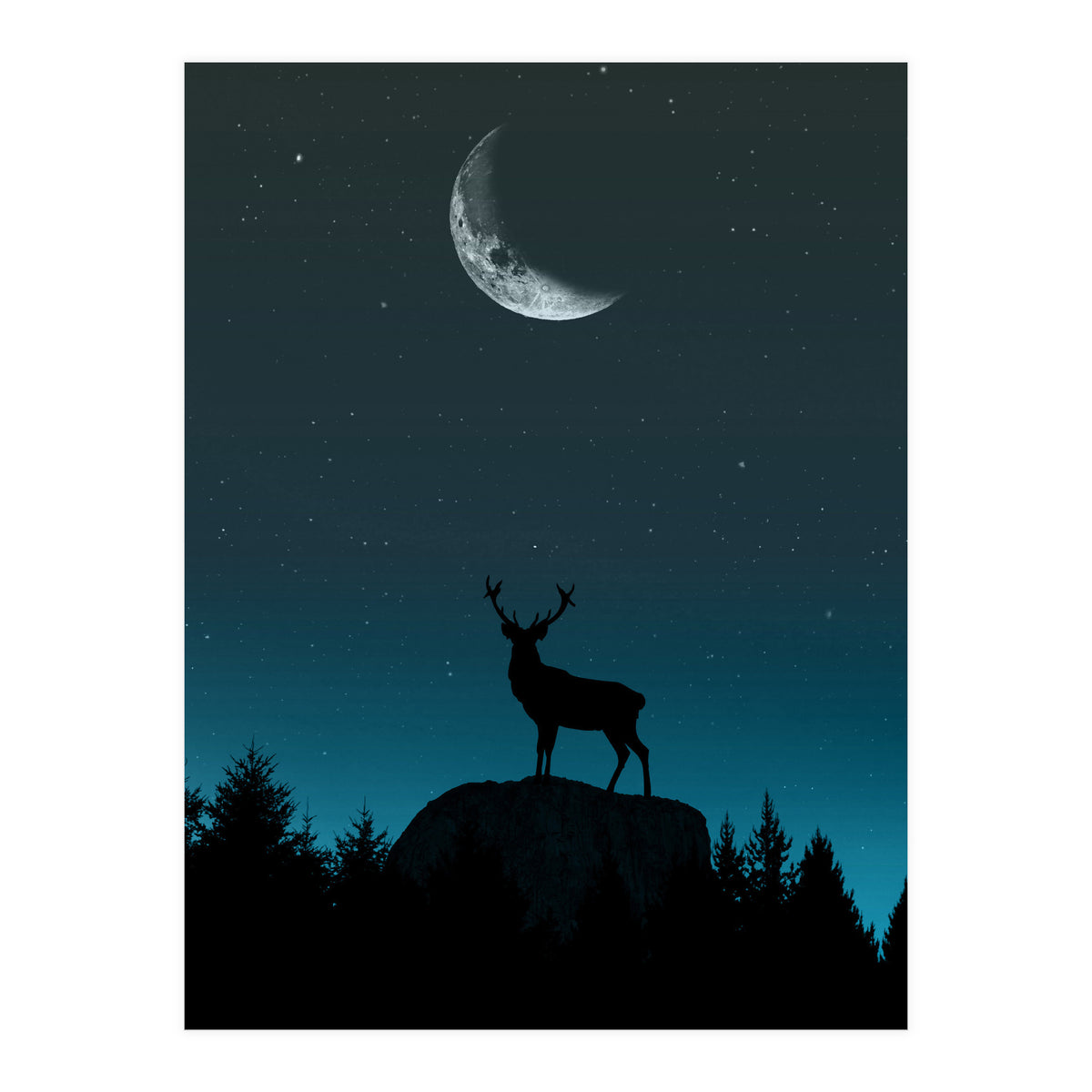 Wild Nature - Nocturne (Print Only)