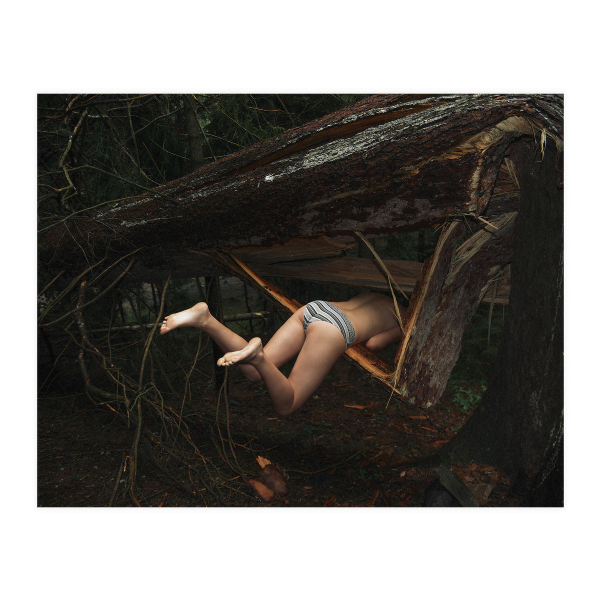 Don’t go There, It’s a Trap (Print Only)