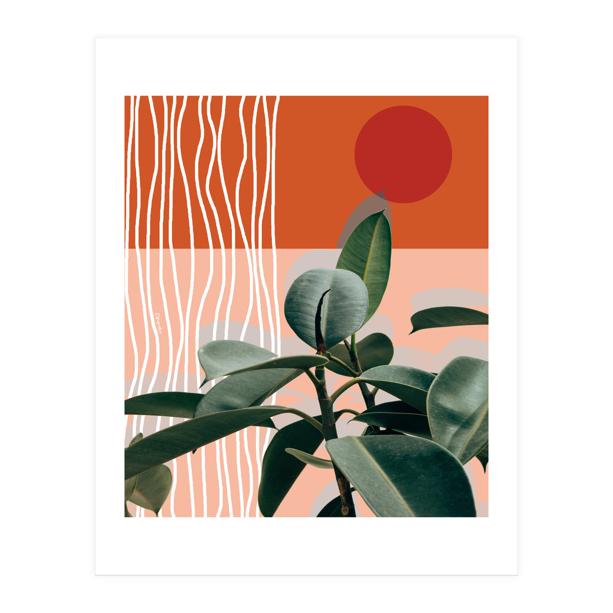 Times of a Growing Plant (Print Only)