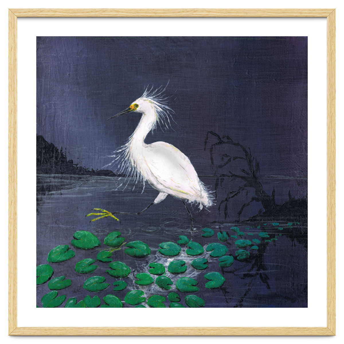 Twilight egret