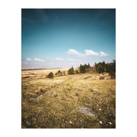 Dartmoor  (Print Only)