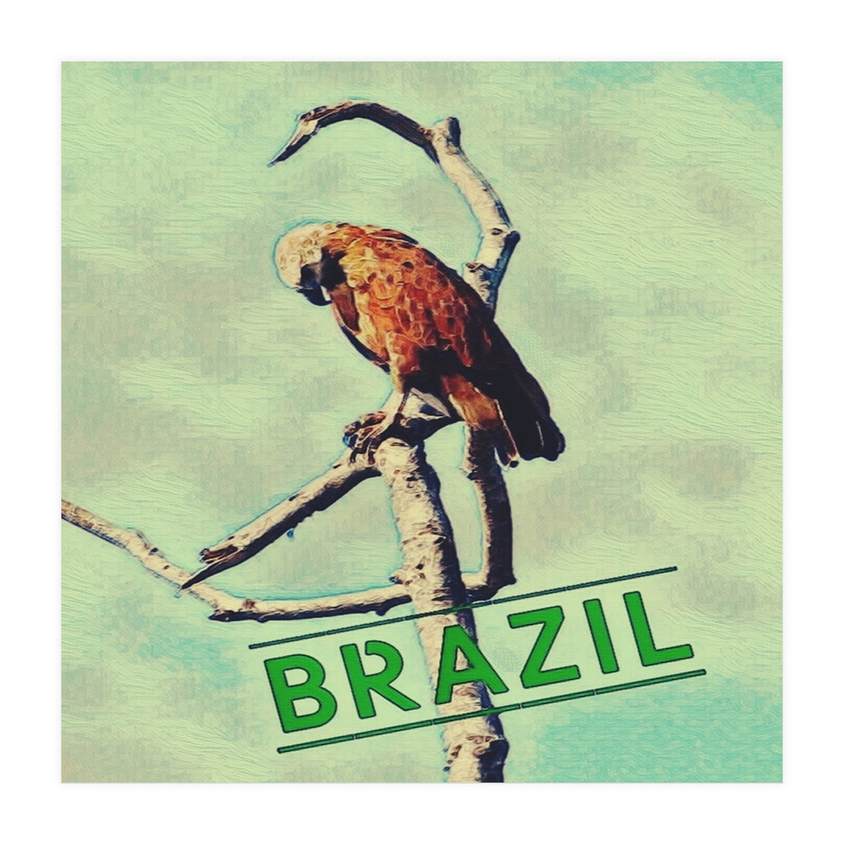 Eagle in Brazil (Print Only)