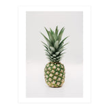 Pineapple (Print Only) thumbnail