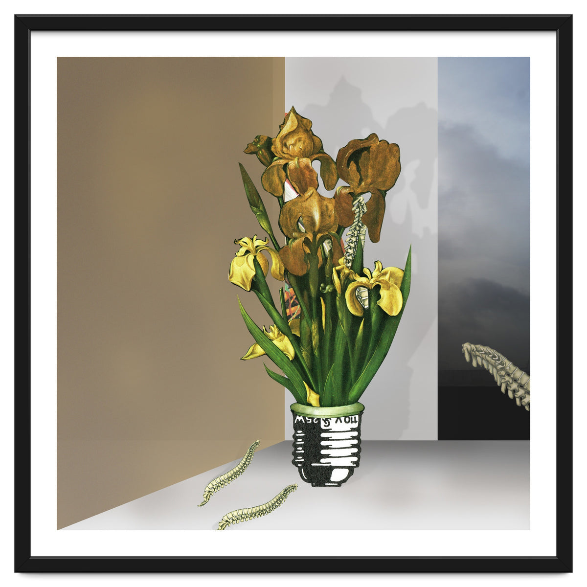 Das Licht Der Pflanze