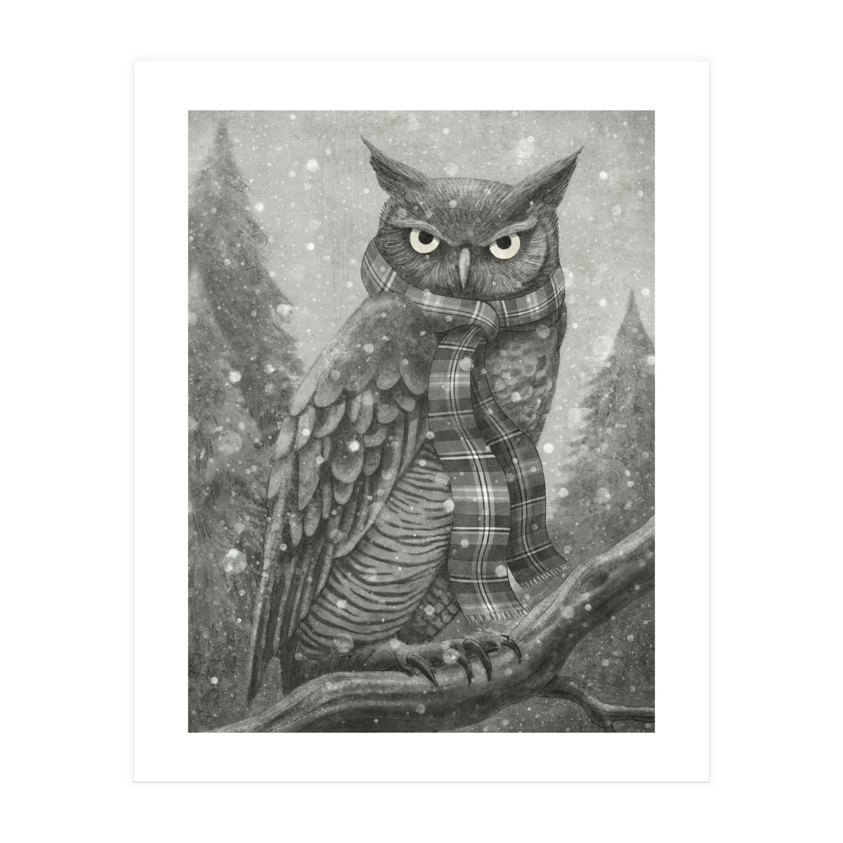 Winter Owl (Print Only)