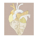 A Heart Unwritten (Print Only) thumbnail