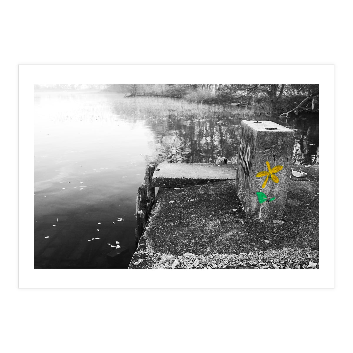 Frozen Ground Yellow Flower Street Art (Print Only)