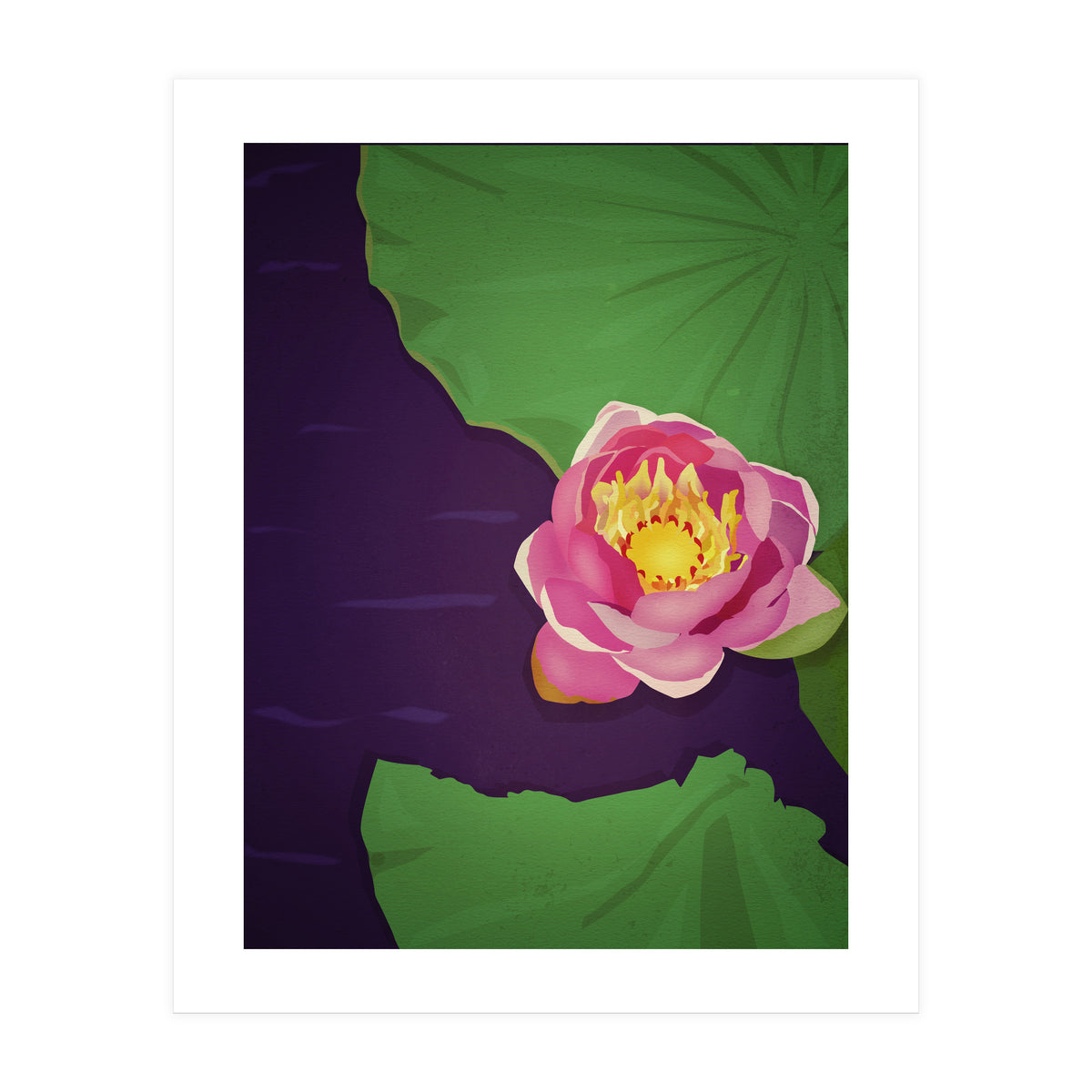 Water lily (Print Only)