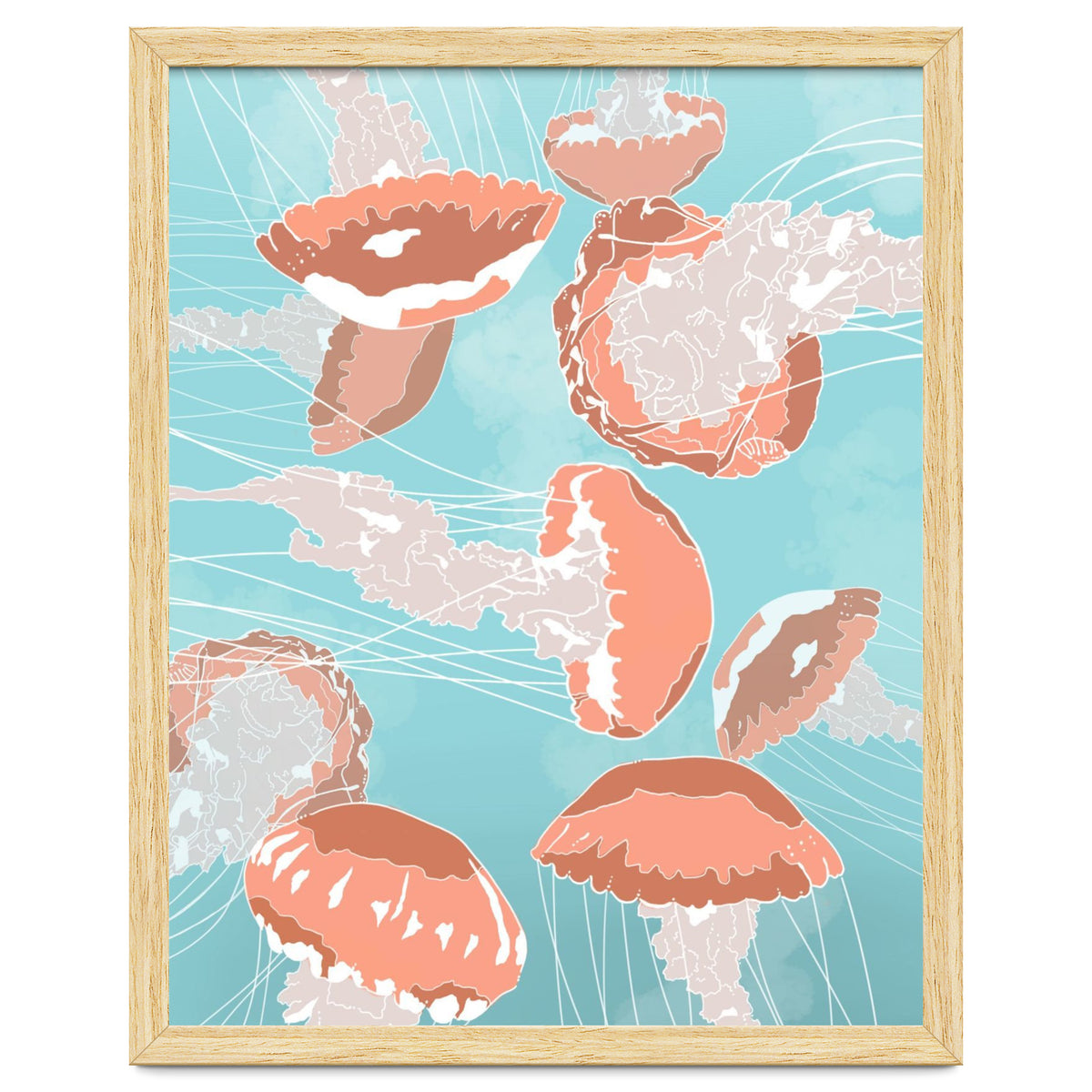 Jellyfish