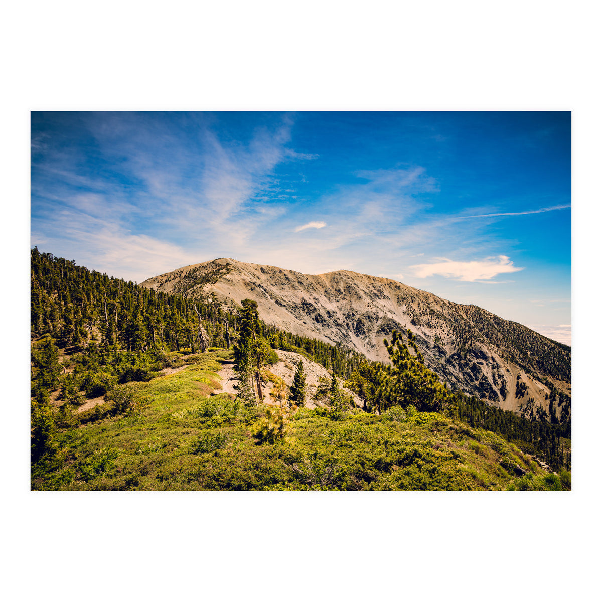 Mt Baldy (Print Only)