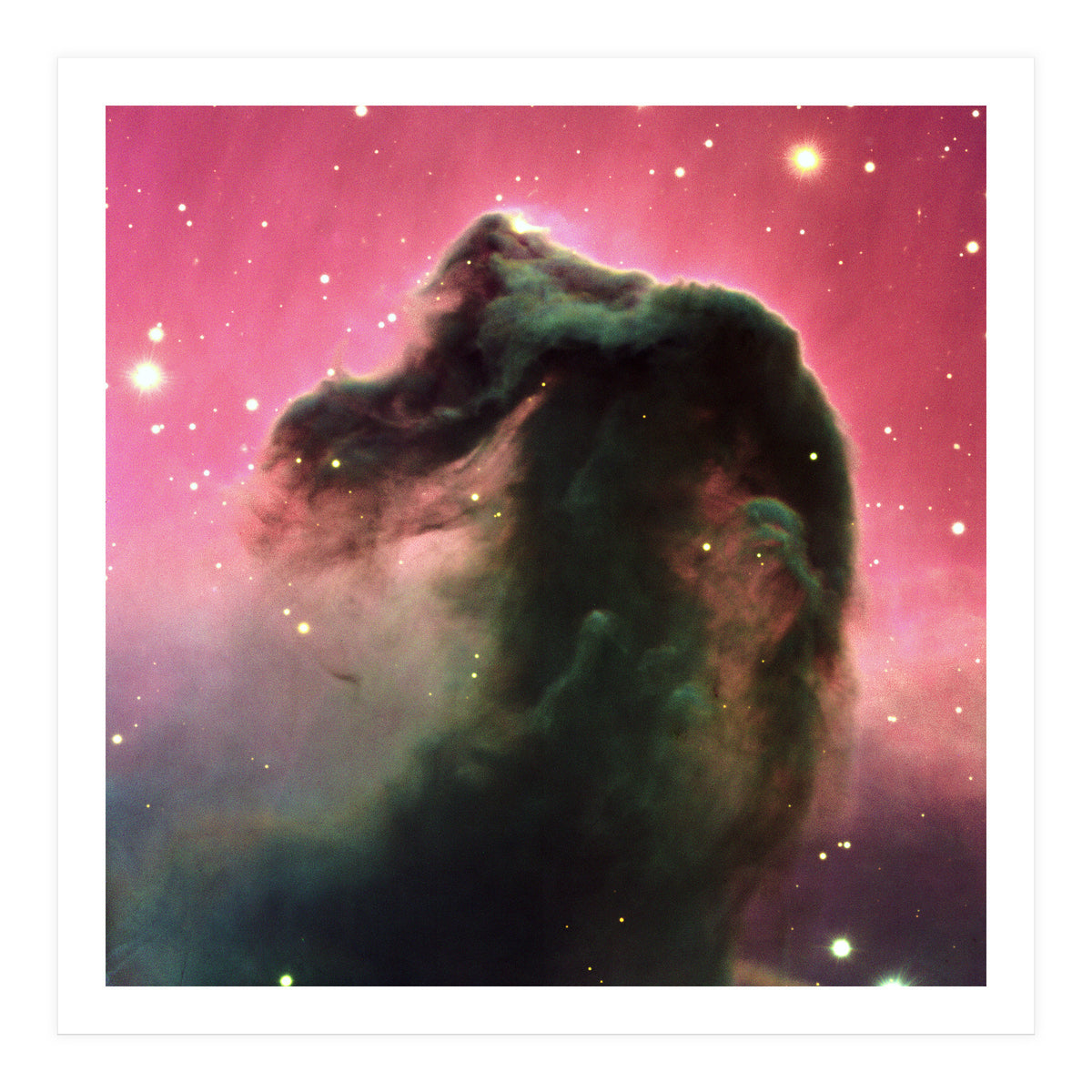 The Horsehead Nebula (Print Only)