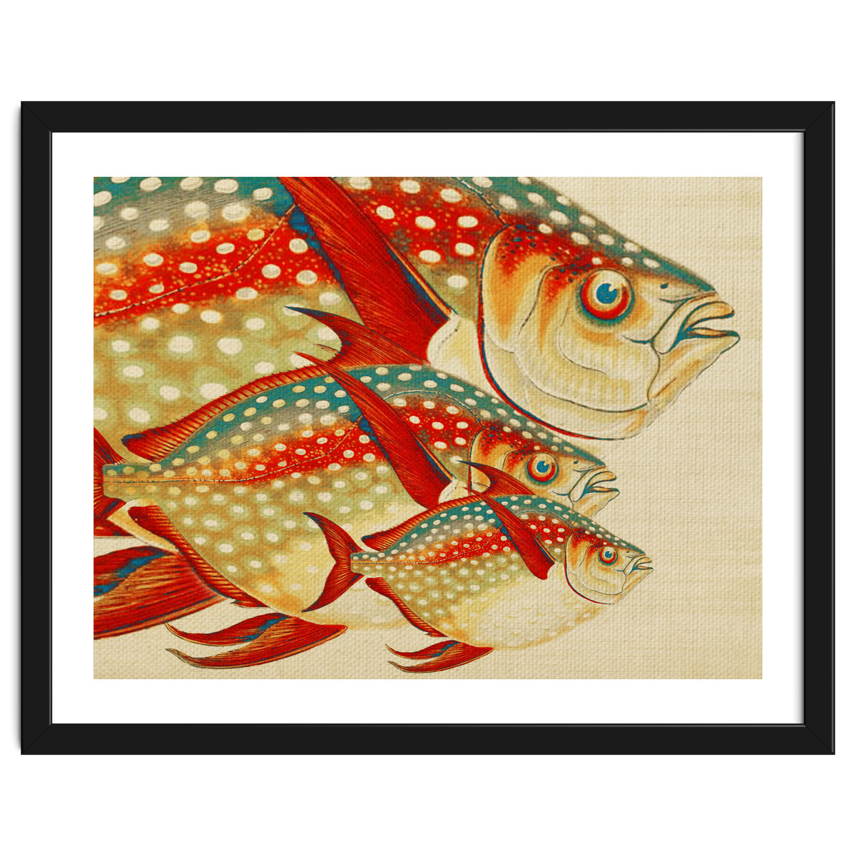Fish Classic Designs 1