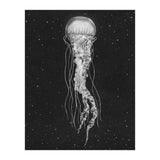 Space Jelly (Print Only) thumbnail