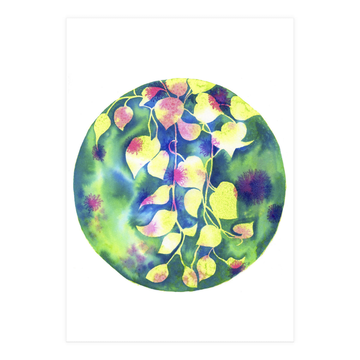 Vine Shadows (Print Only)