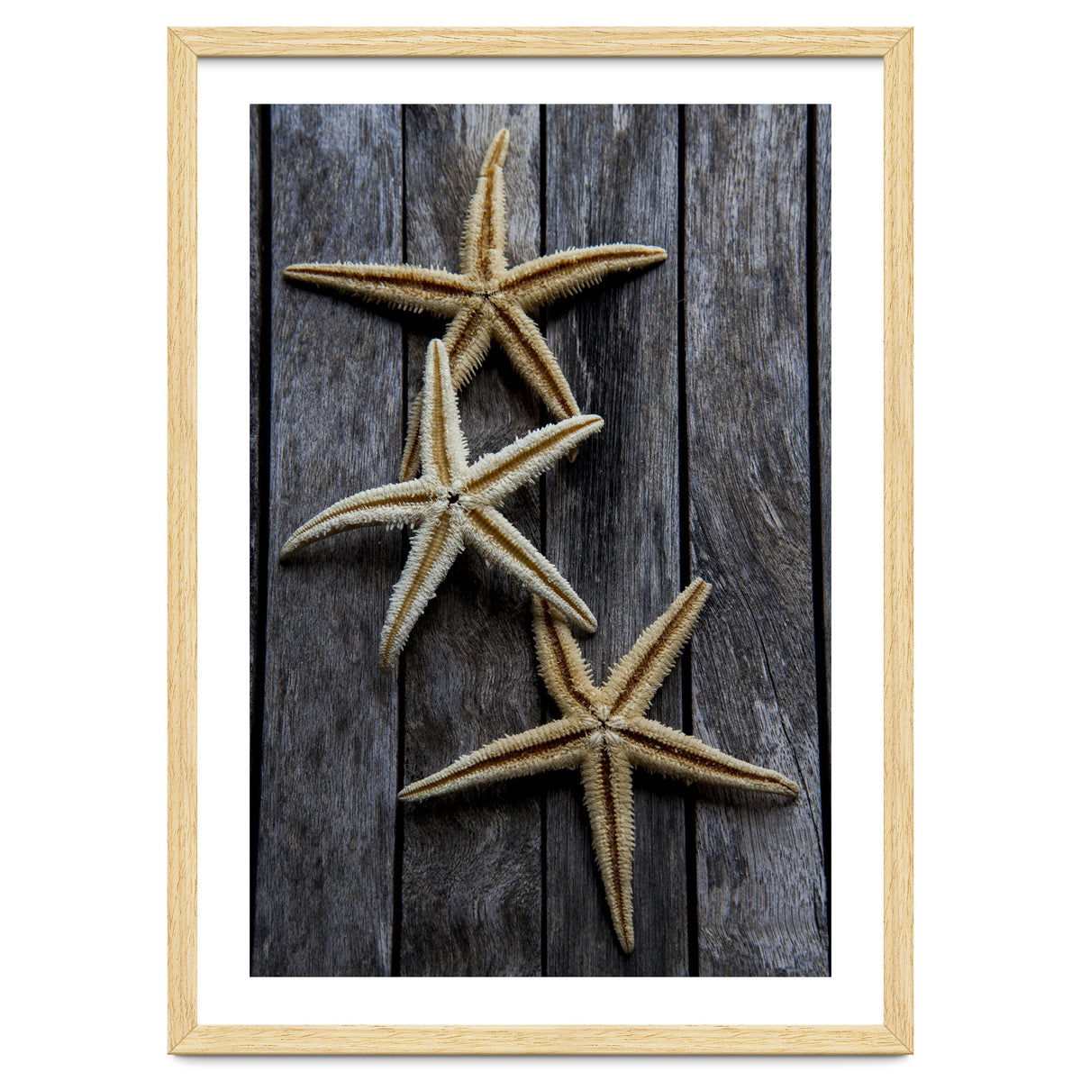 Starfishes in wooden