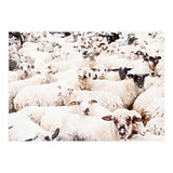 The Herd (Print Only) thumbnail