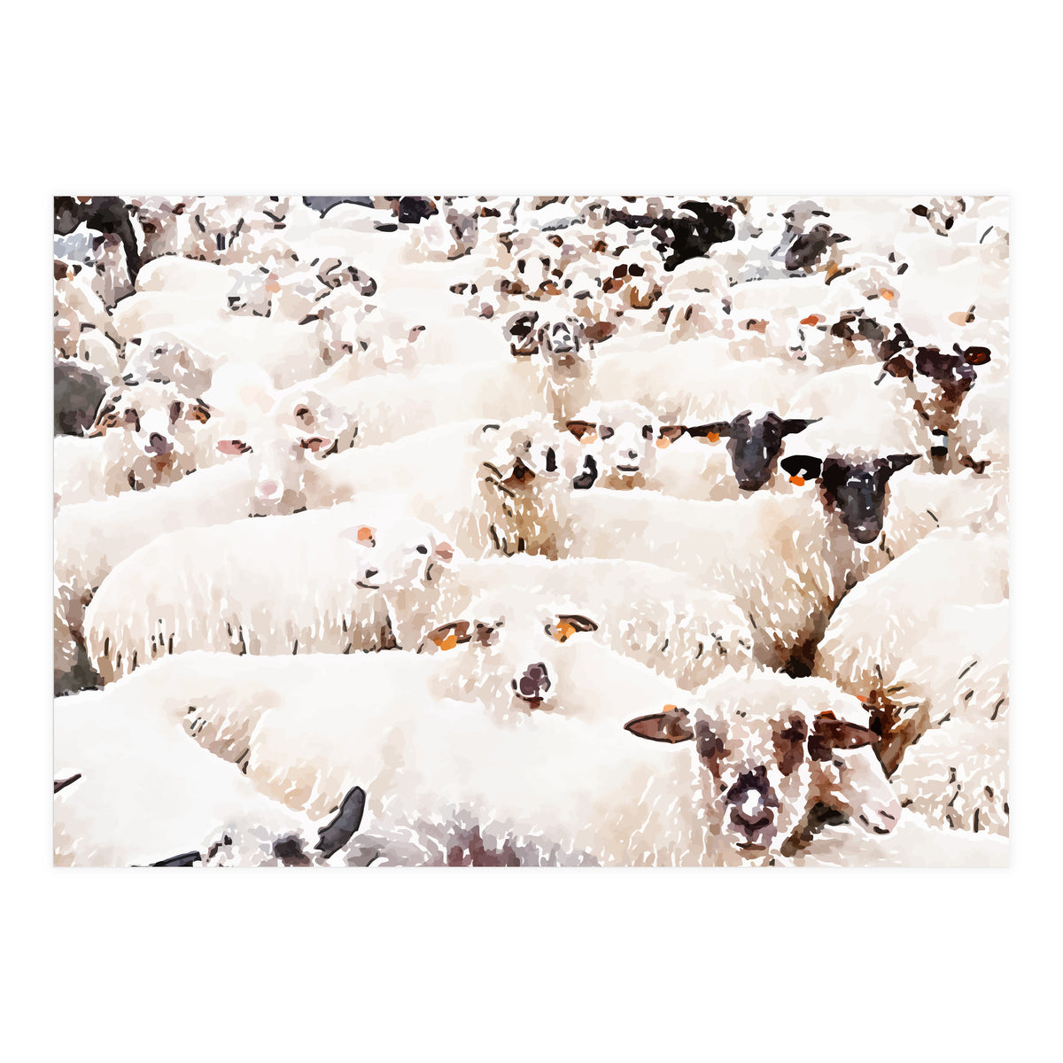 The Herd (Print Only)