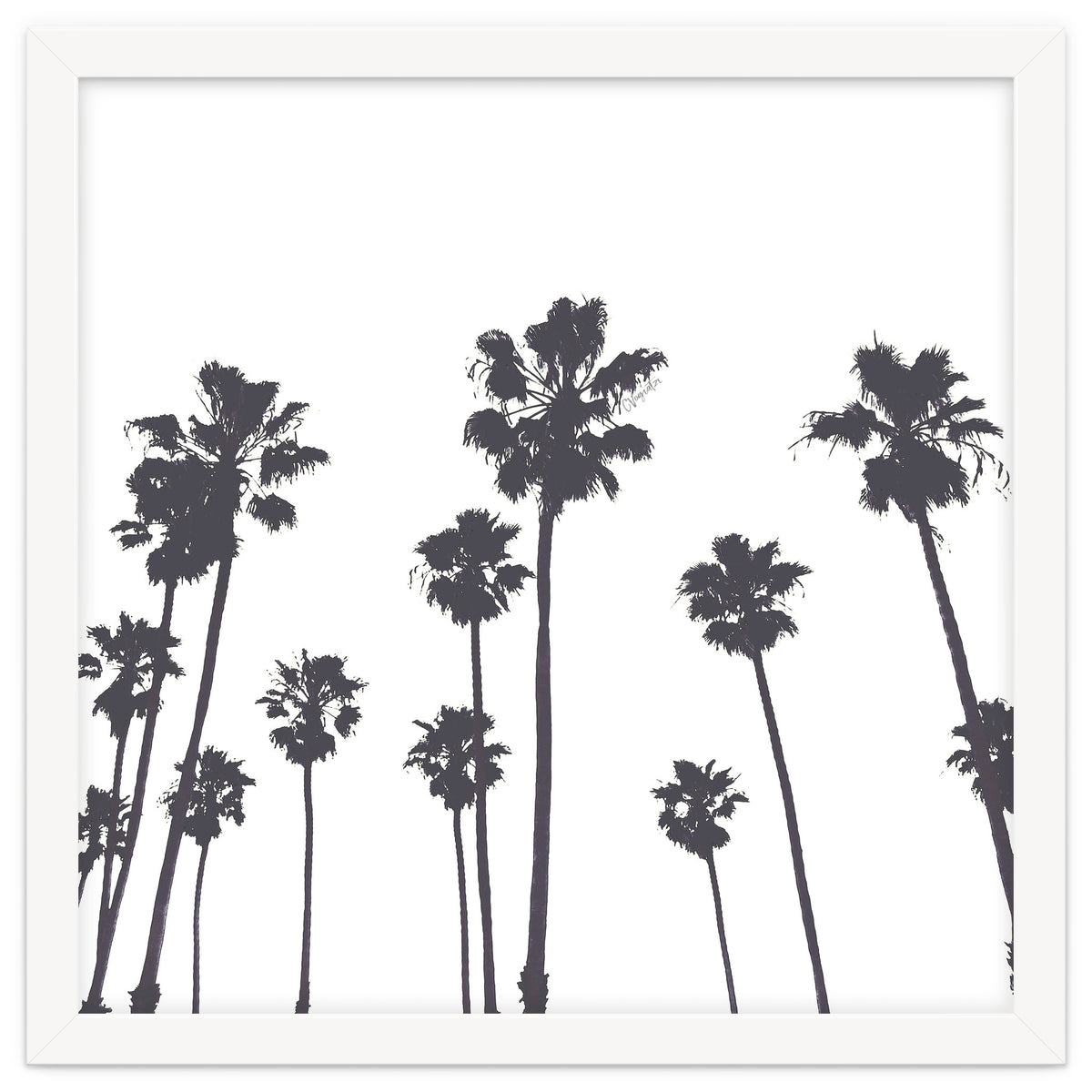 Palms & Sunset-Minimal B&W