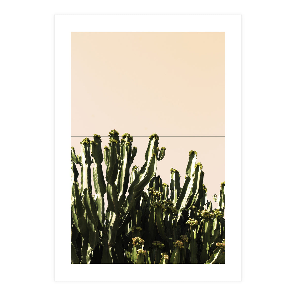Cactus Vertical Color (Print Only)
