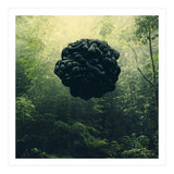 Blacks (Print Only) thumbnail