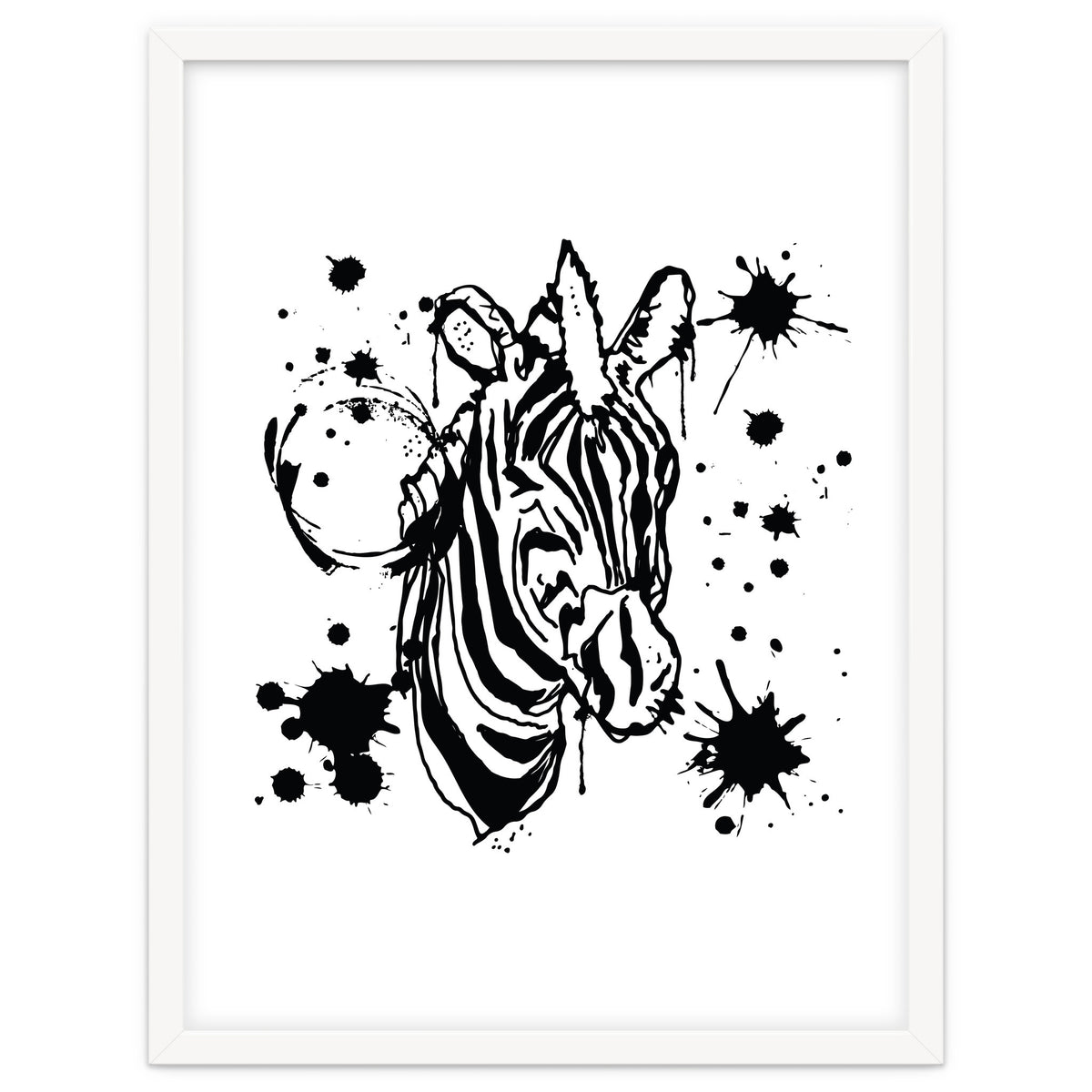 Zebra sketch