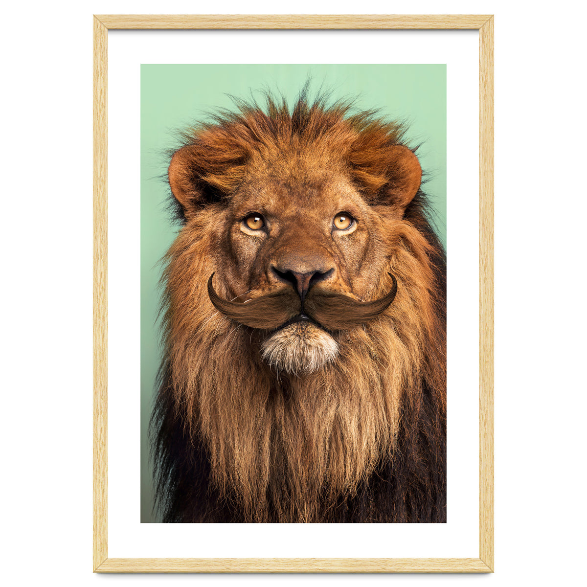 Bearded Lion