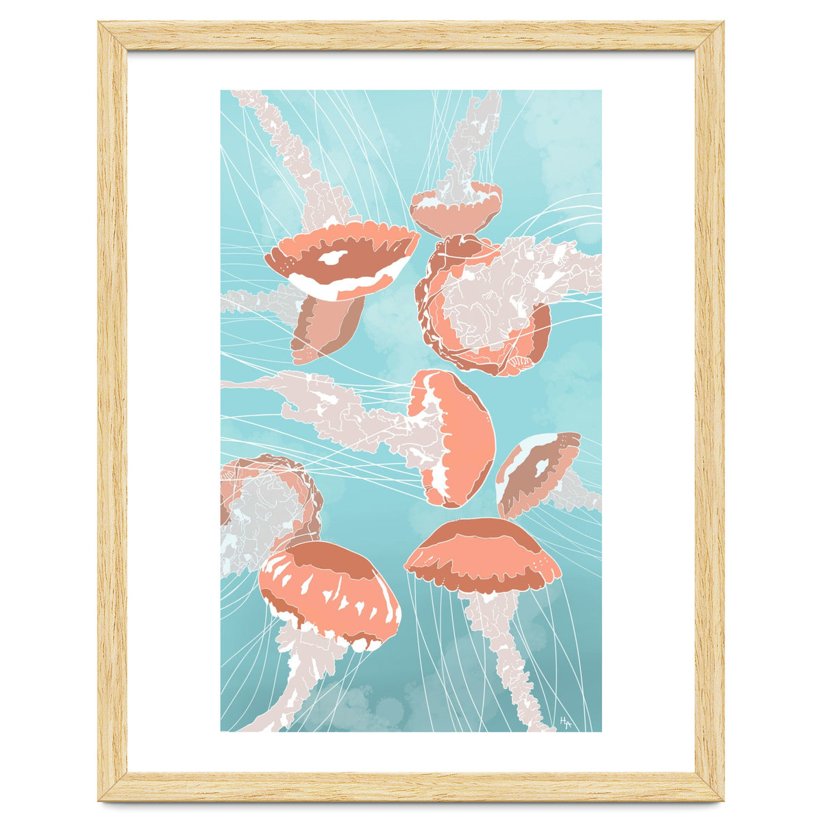 Jellyfish