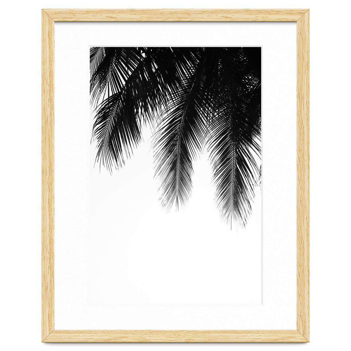 Palm leaves