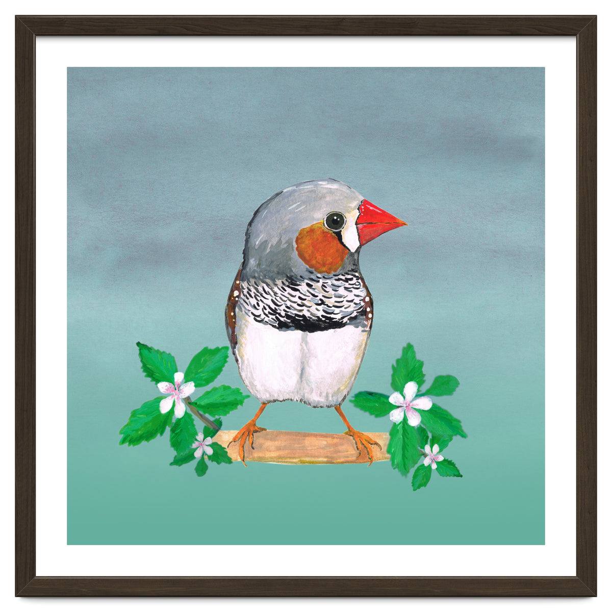 Zebra finch