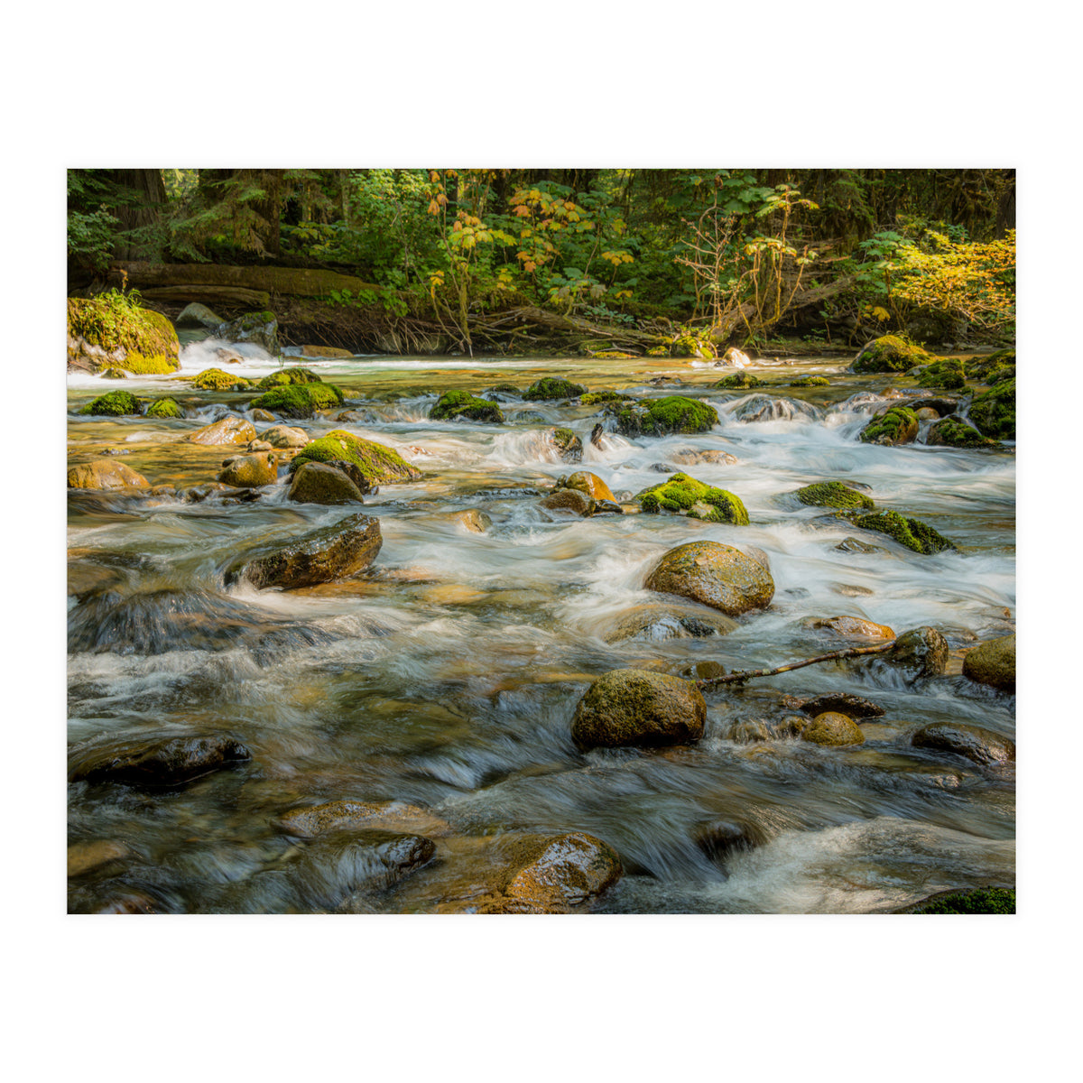 Water Flowing over Rocks (Print Only)